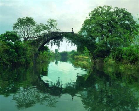 我願化作石橋出處|我願化作一座青石橋，我願化身石橋全文出處